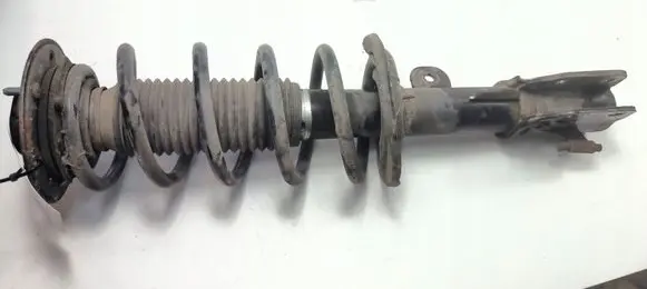 Chevrolet Captiva Front shock absorber/damper 95147607