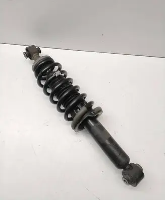 Peugeot 508 Rear shock absorber with coil spring 9805434580 03091000194