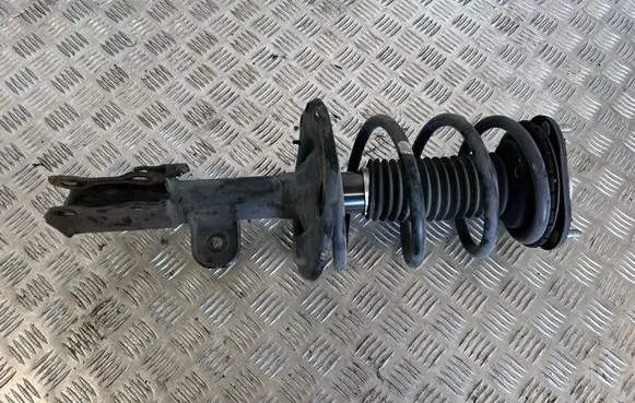 Toyota Mirai Front shock absorber with coil spring 4851062010