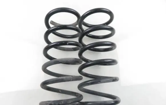 Rear coil spring