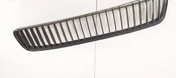 Front bumper lower grill
