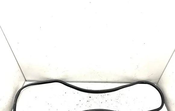 BMW X6 E71 Rubber seal rear door 7195442