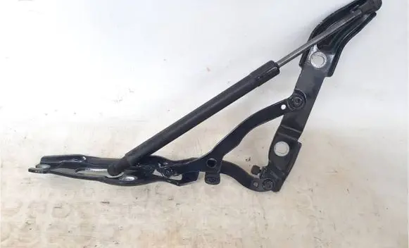 BMW 2 F22 F23 Tailgate/trunk/boot hinge 7304558