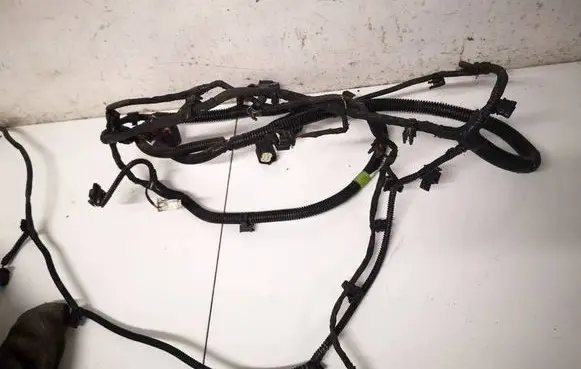 Tesla Model S Other wiring loom 200442001B