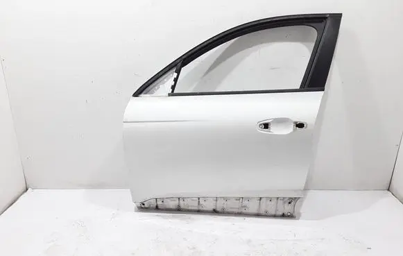 Renault Arkana Front door 801011919R