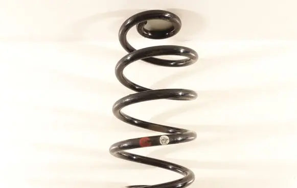 Nissan Juke I F15 Rear coil spring