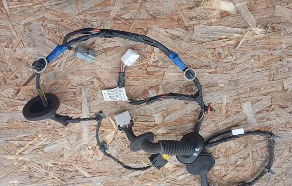 Hyundai i30 Rear door wiring loom 916602R200