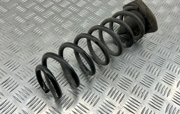 Rear coil spring