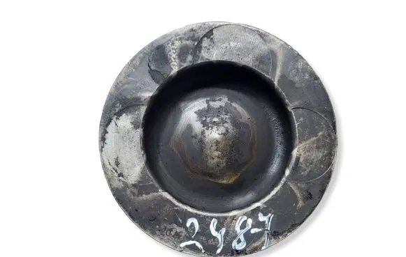 Skoda Octavia Mk2 (1Z) Piston CAY