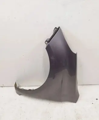 Hyundai i20 (PB PBT) Fender