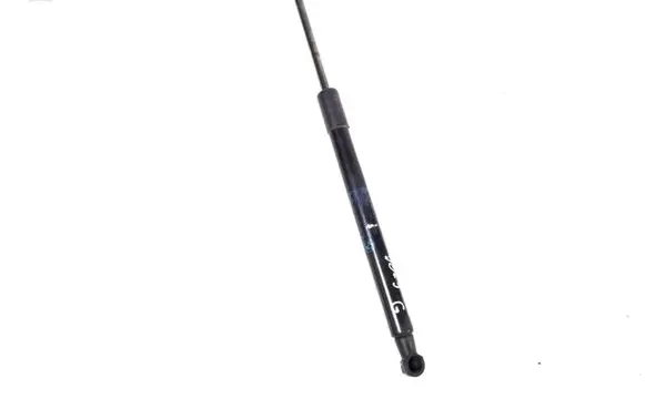 BMW 1 E82 E88 Tailgate strut 7166758