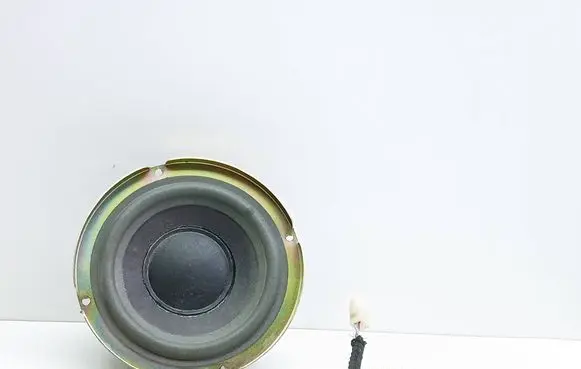 Audi A6 S6 C5 4B Subwoofer speaker 14934700041