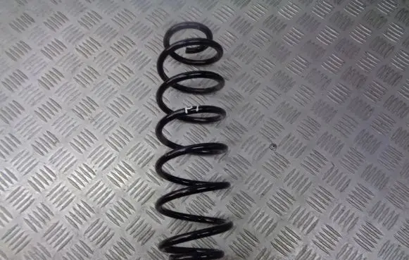 Seat Leon (1M) Rear coil spring