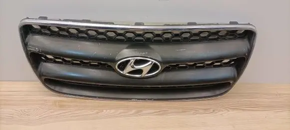 Hyundai Santa Fe Front grill E86561-2B010