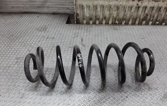 Volkswagen PASSAT B6 Rear coil spring