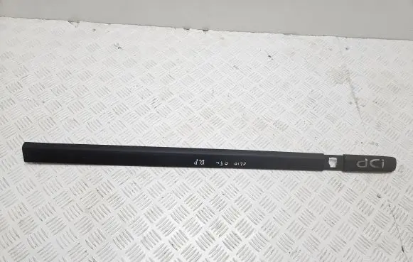 Renault Clio III Front door trim (molding) 8200289913