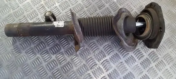 Citroen Xsara Picasso Front shock absorber/damper