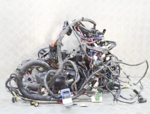 Tesla Model X Other wiring loom 313545300B 205835803C