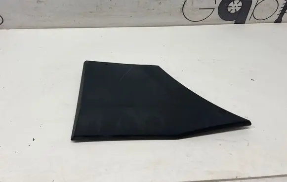 Mercedes-Benz Sprinter W906 Rear door trim (molding) A9066903482