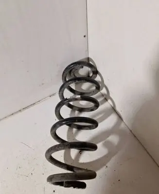 Rear coil spring
