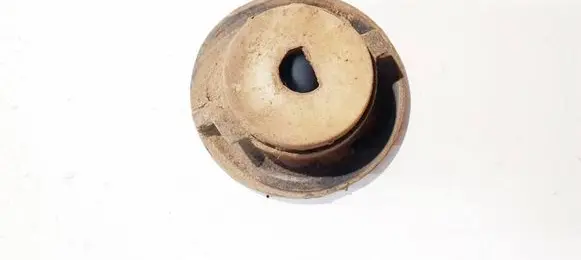 Rear coil spring