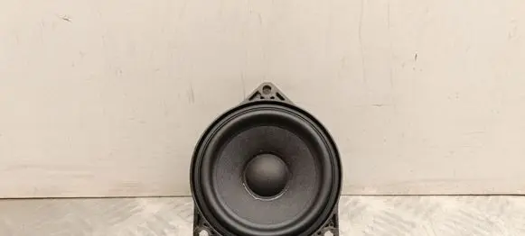 Tesla Model Y Juniper Panel speaker 107974200D