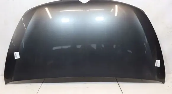 Engine bonnet/hood