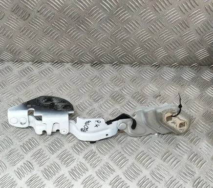 Tesla Model 3 Engine bonnet/hood hinges 164384500A