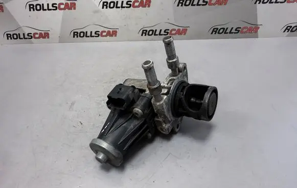 Peugeot Expert EGR valve 50563924 3150207411