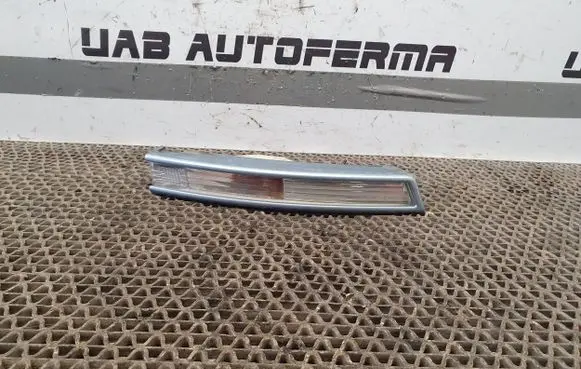 Volkswagen PASSAT B6 Front indicator light 3C0807718C