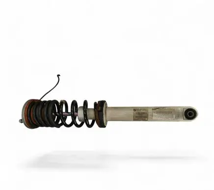 BMW M5 Rear shock absorber with coil spring 7850117 33527850117