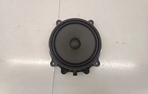 Tesla Model 3 Front door speaker 107974400E