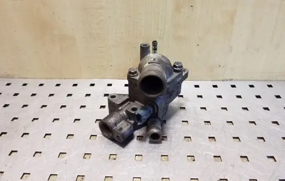 Thermostat/thermostat housing