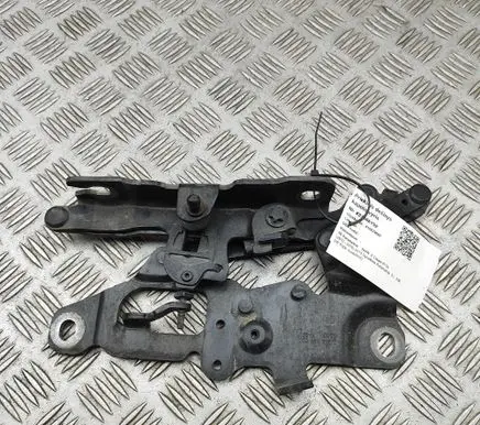 BMW 6 F12 F13 Engine bonnet/hood hinges 7249888