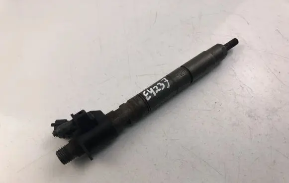 Volvo V70 Fuel injector 31303238