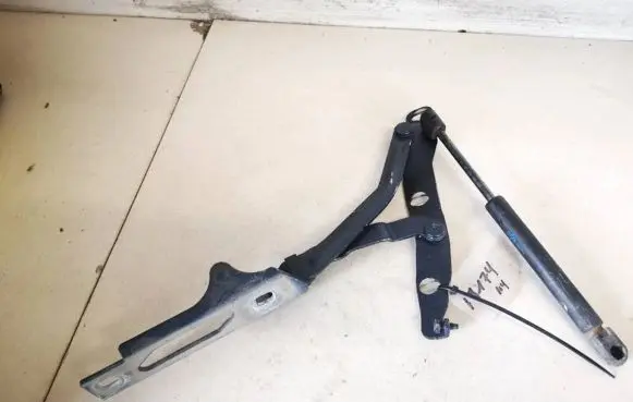 Tailgate/trunk/boot hinge