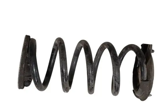Rear coil spring