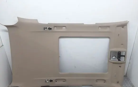 BMW X5 E70 Headlining 