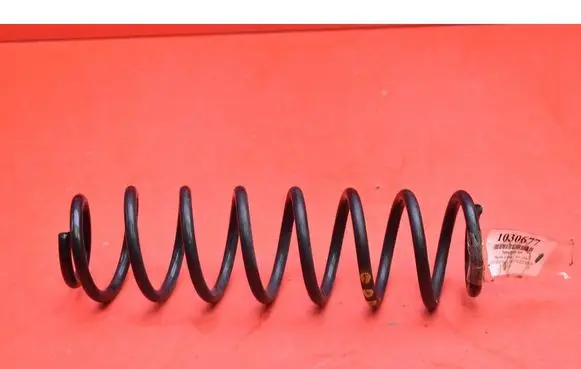 Skoda Fabia Mk3 (NJ) Rear coil spring