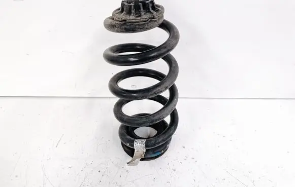 Rear coil spring
