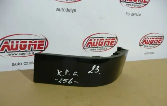 Rear/tail light trim molding