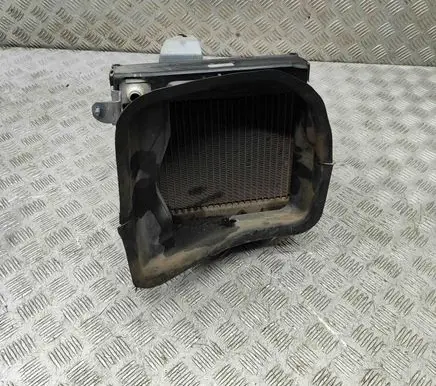 Mercedes-Benz CLS C218 X218 Coolant radiator A2185010920
