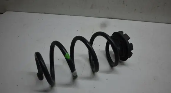 Rear coil spring