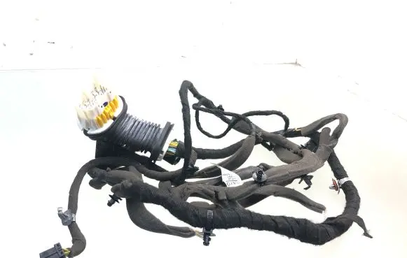 Chevrolet Captiva Front door wiring loom 95083470