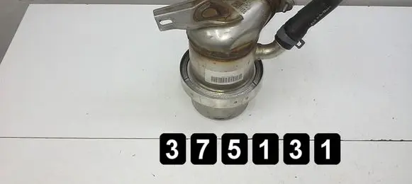 Volkswagen Tiguan EGR valve # 2000tdi 04l131512