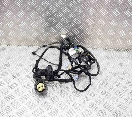 Citroen C6 Rear door wiring loom 9663412180