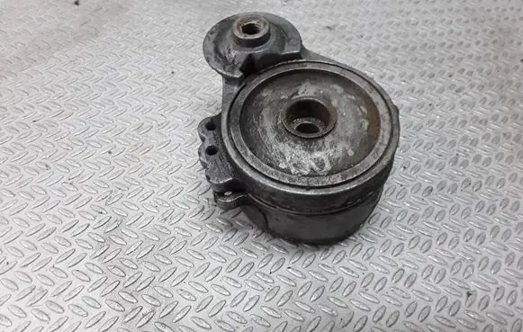 Peugeot 607 Generator/alternator belt tensioner