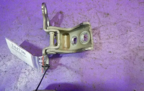 Renault Clio III Front door lower hinge 