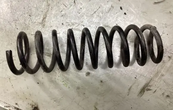 Ford Focus Rear coil spring