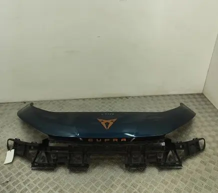 Cupra Born Front grill 10E807231